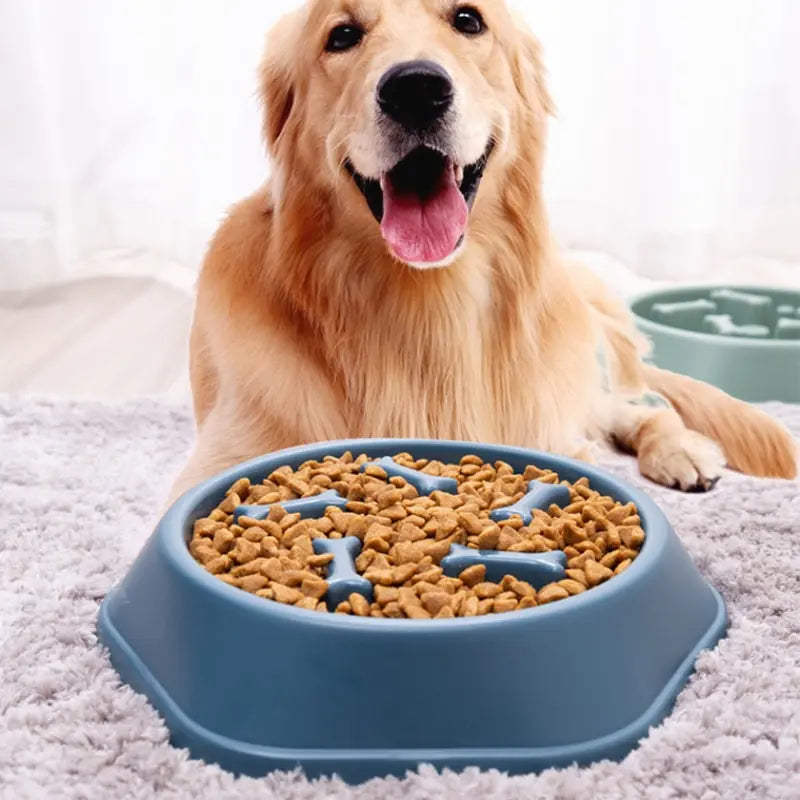 Dogs