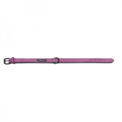 Adjustable Pet Dog Collar for Huskies and Puppies