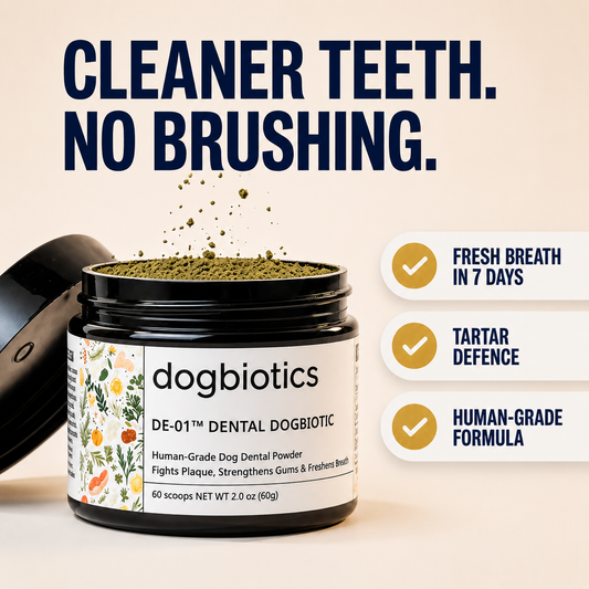 Pethium™ Dental