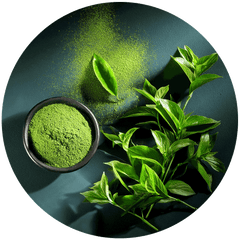 Green Tea