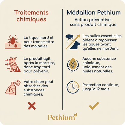 Pethium Aura